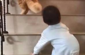 喵哥哥兼職保姆，教小主人如何爬樓梯，兩步一回頭查看主人狀況