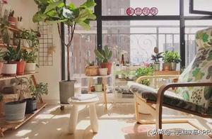 全網最火的12種高顏值綠植，殺手or聖手，就看這篇了