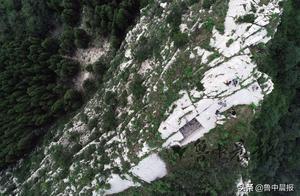 博山黃連峪村：參天黃楝千年古柏深山流古意
