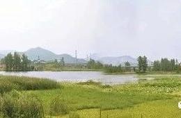 千年古渡多少事 不盡長江滾滾流——陽新縣富池鎮郝磯村跨越式發展紀實