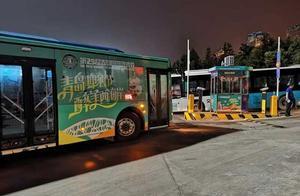 青島國際啤酒節首日，公交客運量創歷史新高