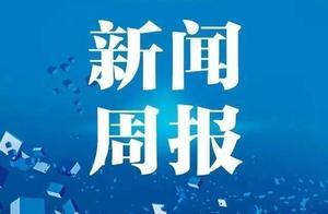 7062億元養老金已到帳投資；京都動畫火災遇難者身份確認……本周信息量有點大