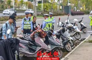 電動車不是你想騎就騎！超標車將.....