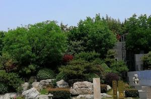 徐州：仍在發掘、保護、建設、並向遊人開放的——「彭城王」墓