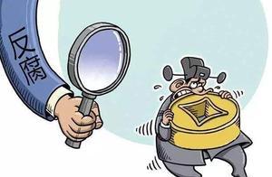 吉林白山原麝國家級自然保護區管理局局長孫來福被查