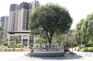金地香山湖，生活配套成熟，帶給你不一樣的感覺