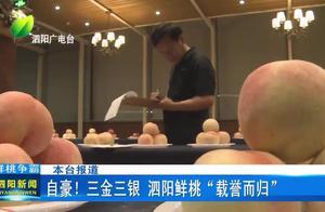 自豪！三金三銀泗陽鮮桃「載譽而歸」