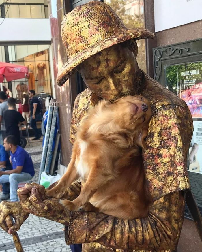狗比人紅！毛孩模仿主人「扮演雕像」超精準　路人紛紛停下來投錢 