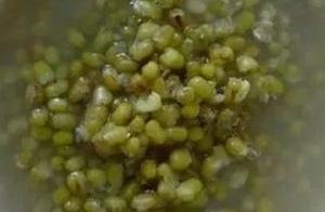 喝了碗綠豆湯，老李竟然中風了！天氣再熱也不能這麼吃