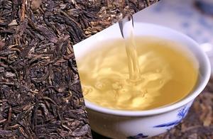 掌握了這些技巧，你就是普洱茶品鑑高手了