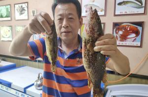 專注做魚16年，老長春人都愛來他家吃魚，有的魚只有在這能吃到