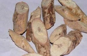 牛大力枸杞豬骨湯：健脾補肺，強筋活絡
