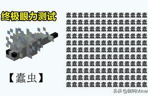 我的世界：終極眼力大測試，找出不一樣的字！你能搞定幾道題？