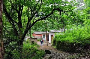黃村嶺古道丨 一條嶺頭藏著明代古庵的秘境古道