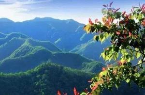 陝西獲評「中國天然氧吧」縣達十四個