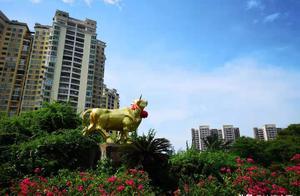 海口金牛嶺公園，猶如一個原生態大型熱帶植物園，天然大氧吧