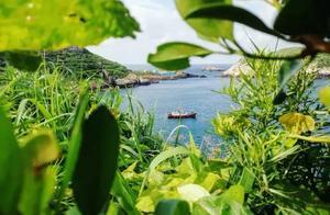 明年就要閉島？寧波這座冷門海島，正等著最後乘風破浪而來的客人