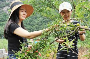 四川廣元利州：休閒農業帶火鄉村旅遊