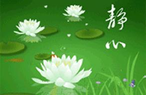 賞詩會（269）龍湖賞荷；上聯？下聯：荷池盪清波