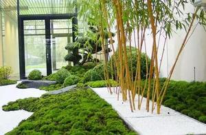 以竹造園，以竹為景