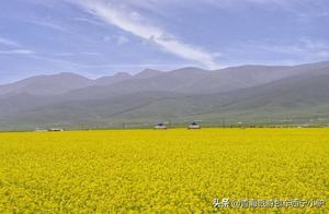 青甘大環線里還有哪些隱藏的小眾玩法，這裡告訴你