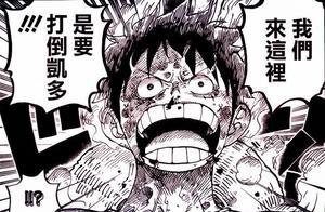 《海賊王》950話情報，路飛請求基德加入同盟，索隆將挑戰大蛇