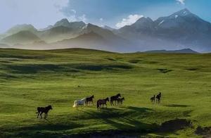 八月旅行，去這些避暑勝地，過一個綠意盎然的夏天
