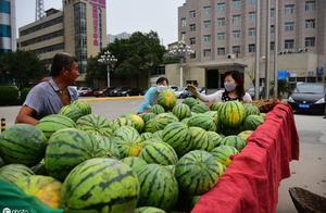 大熱天，一車瓜被許昌一社區居民「搶」完了……