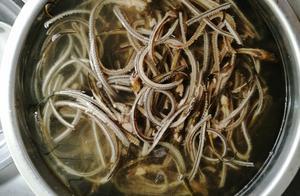 泰州魚湯麵的湯