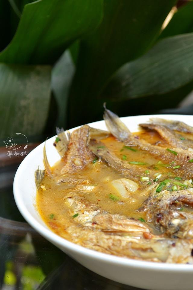 營養又滋補的15款魚湯做法，比骨頭湯更鮮美，看完露兩手
