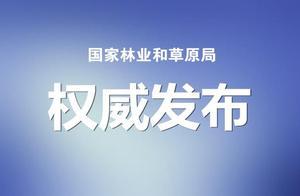 國家林草局發布最新《國家級森林公園總體規劃審批管理辦法》