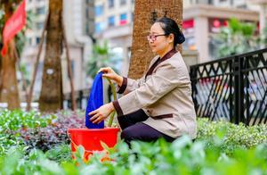 攝影鏡頭聚焦下的勞動者