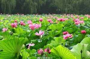 涼快又好玩！杭州絕美避暑地來了