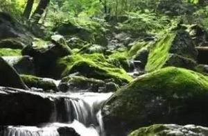 遼寧這8個避暑勝地，景美人少速來
