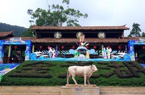 離廈門市區60公里的原始森林，更被譽閩南的西雙版納，"天然氧吧