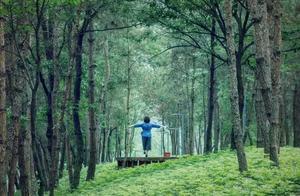 半小時剎攏！原始森林、靜謐湖泊...離成都最近的森林公園就在雙流