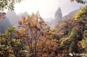 魯山獲「中國天然氧吧」創建地區稱號