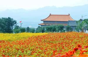 藏藏藏不住了！寶雞市區這片花海已經驚艷綻放，免費觀賞