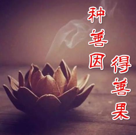 流浪老人進快餐店避雨，被服務員斥責趕出店外，客人看不下去請老闆出來，沒想到老闆看到老人竟連忙下跪！﻿