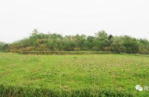 肥西發現3600年前遺址，年代可以追溯到······