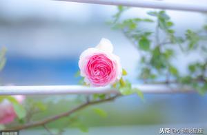 越多情，越愛不起的3個星座，沒有一顆真心，就無法打動他們