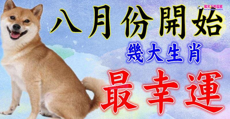 八月份開始，這幾大生肖最幸運