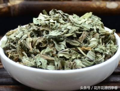 車前草什麼時間採挖的藥效好？使用時要注意這2個禁忌！