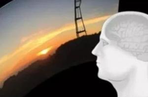 69張圖看懂Elon Musk的腦機接口晶片項目
