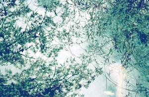 「空山松子落，幽人應未眠」，你讀過最純凈的一句詩詞是什麼？