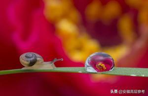 讀過的書，看過的風景，就是你的格局