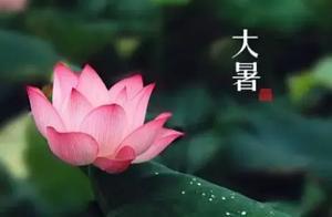 讀詩｜夏日炎炎，古人怎麼過？