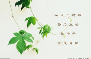 勵志短語，句句陽光正能量，送給努力拚搏的你