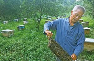 重慶大山深處王老漢65歲學藝　僅僅三年實現人生逆襲