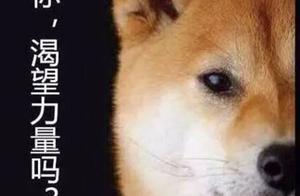 人生必修課：表達力就是影響力就是變現力